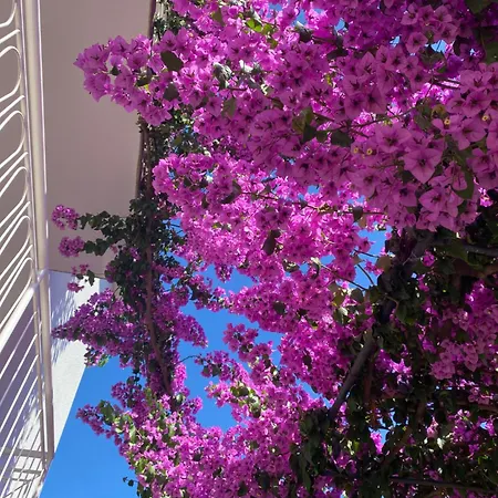 Sea View Apartment Near Beach With Private Garden & Parking *