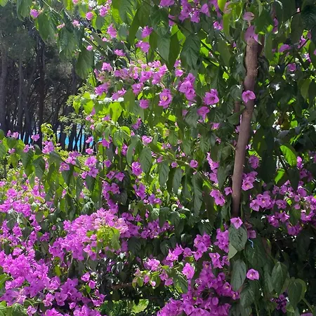 Апартаменты Summer Sea View Near *