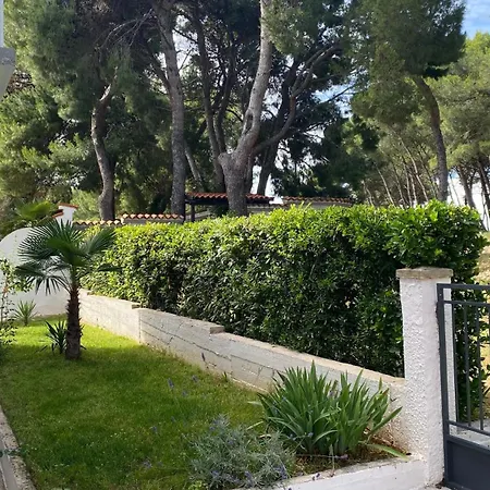 Апартаменты Summer Sea View Near *